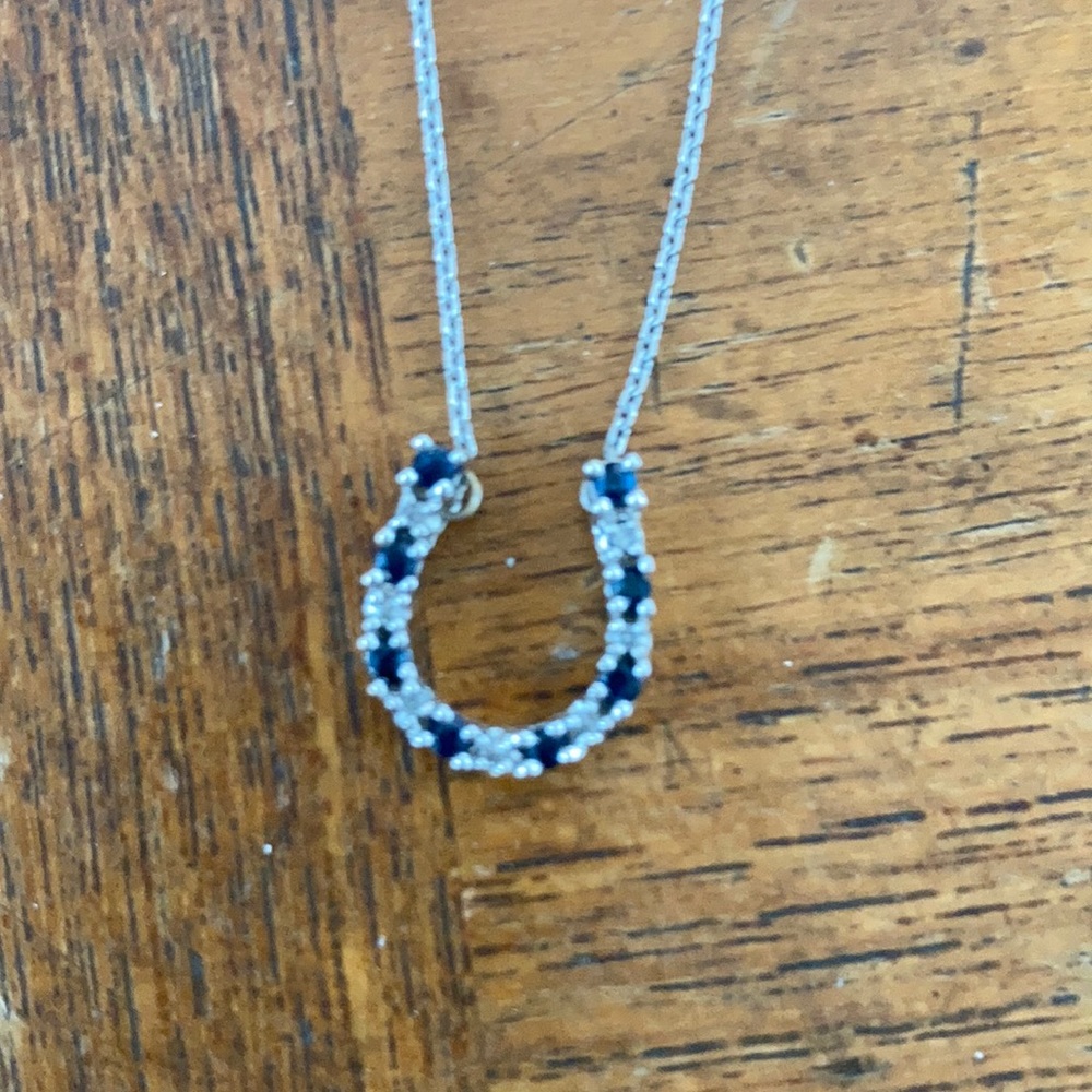 Diamond snd sapphire horseshoe necklace